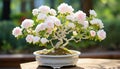 the intricate details of the smallest white bonsai rose plant