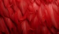 Intricate digital art showcasing the vibrant red feathers texture background of large birds