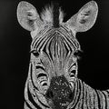 Intricate dot-pattern zebra art on black background capturing stunning details