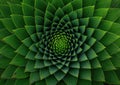 Green Spiral Royalty Free Stock Photo