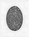 An Intricate Fingerprint Illustration with Black Ridges on a White Background Royalty Free Stock Photo
