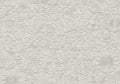 Intricate floral design with embossed patterns on a neutral Royalty Free Stock Photo