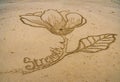 Intricate flower sand art on a beach.