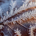 Leaf s surface texture is visible beneath the translucent geometric ice Royalty Free Stock Photo