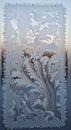 An intricate frost pattern forms on a window, resembling delicate fern leaves and branches. The Royalty Free Stock Photo