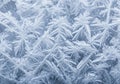Intricate frost patterns create a mesmerizing display on a surface. Royalty Free Stock Photo