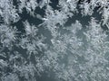 intricate frost patterns on a glass