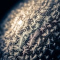 Close up macro view showcases the intricate design and complexity of frost Royalty Free Stock Photo