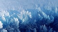 Intricate frost patterns on a window pane creating a stunning natural ice crystal design with delicate, feather-like structures in Royalty Free Stock Photo