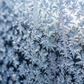 Window pane, showcasing delicate ice crystals resembling fern Royalty Free Stock Photo