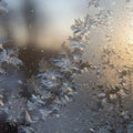 Intricate frost patterns on a window resemble fern-like structures. The delicate ice Royalty Free Stock Photo