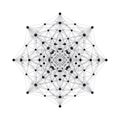 Intricate geometric network structure with black nodes and thin grey lines on white background Royalty Free Stock Photo