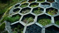 An intricate geometric solar panel installation covering the roof of a community garden allowing the garden to operate