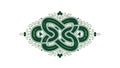 Intricate Green Celtic Knotwork with Botanical Elements Royalty Free Stock Photo