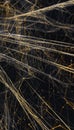 Intricate grid design showcasing internet technologies and data flow against a cobweb background
