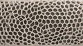 Intricate Hexagonal Pattern Texture - Abstract Beige Background Royalty Free Stock Photo