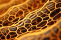 intricate honeycomb pattern in warm tones Royalty Free Stock Photo