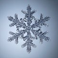 Intricate Ice Crystal Snowflake Macro Royalty Free Stock Photo