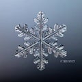 Intricate Ice Crystal Snowflake Macro Royalty Free Stock Photo