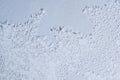 Intricate ice crystals form a delicate, mesmerizing pattern on a cold winter window surface. Royalty Free Stock Photo
