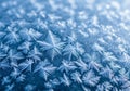 Intricate ice crystals form a delicate pattern on a smooth surface. Royalty Free Stock Photo