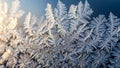 Intricate ice crystals form on a surface resembling delicate fractal Royalty Free Stock Photo