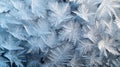 Intricate Ice Crystals Forming Delicate Patterns Royalty Free Stock Photo