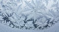 Intricate ice patterns resembling fern leaves Royalty Free Stock Photo