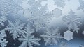 Delicate symmetrical structures characteristic of natural snow Royalty Free Stock Photo