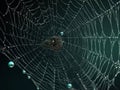 The complex structure of a spider\'s web created with Generative AI Royalty Free Stock Photo
