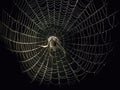 The complex structure of a spider\'s web created with Generative AI Royalty Free Stock Photo