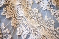intricate lace fabric detail captured in natural light