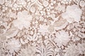 intricate lace fabric detail captured in natural light