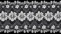 intricate lace pattern with floral designs against black background. concepts: timeless aesthetic, intricate lacework