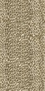 Seamless Leopard Animal Skin Intricate Surface Pattern Textile Design