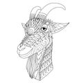 Intricate line art of happy sheep for design element and coloring book page Royalty Free Stock Photo