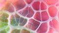 Intricate macro shot of seed surface highlighting vibrant organic texture