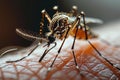 Intricate macro view of a mosquito feeding on skin, showcasing its body, legs, and skin texture