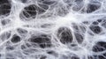 Intricate macro view of spider web silk textures for natural abstract design
