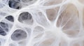 Intricate macro view of spider web texture with delicate silk threads