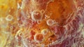 An intricate microscopic image of a s showing the complex process of fertilization and egg development. .