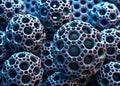 Intricate Microscopic Structure of a Black Porous Nanomaterial Circular Openings Unveiled