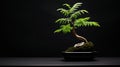 Intricate Minimalism: Fern Bonsai Tree In Black Vase Royalty Free Stock Photo