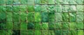 An intricate mosaic of glistening, iridescent green tiles, producing a striking and mesmerizing visual texture. Royalty Free Stock Photo
