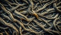 Intricate network of ancient, twisted tree roots forming a natural, wooden texture. Generative AI Royalty Free Stock Photo
