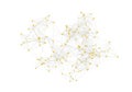 Intricate network diagram with nodes and connections spread across a white background Royalty Free Stock Photo