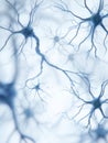 Intricate Network of Neurons in a Close-Up View Showcasing Their Complex Structures During Neural Activity Royalty Free Stock Photo