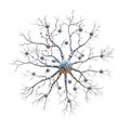 Intricate neural network illustration with branching axons and synapses on white background