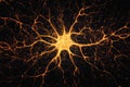 Intricate Neuron Network in Dynamic Orange Glow on Dark Background Royalty Free Stock Photo