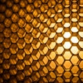 Tessellating pattern emphasizing the efficiency and beauty of natural Royalty Free Stock Photo